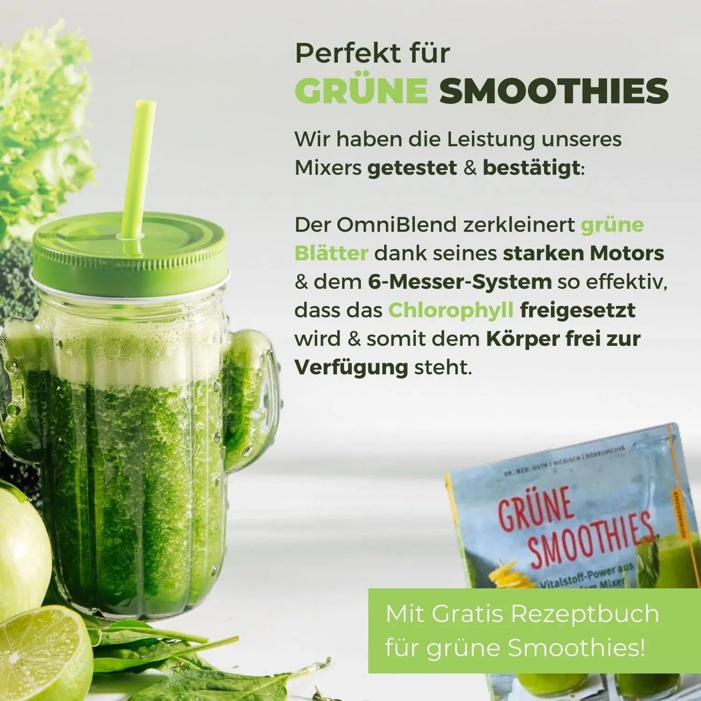 JTC OmniBlend V TM-800A maron 1,5 Liter Hochleistungsmixer - Perfekt für Grüne Smoothies